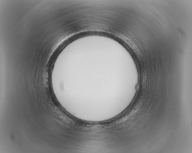 X0000115550926200912041029