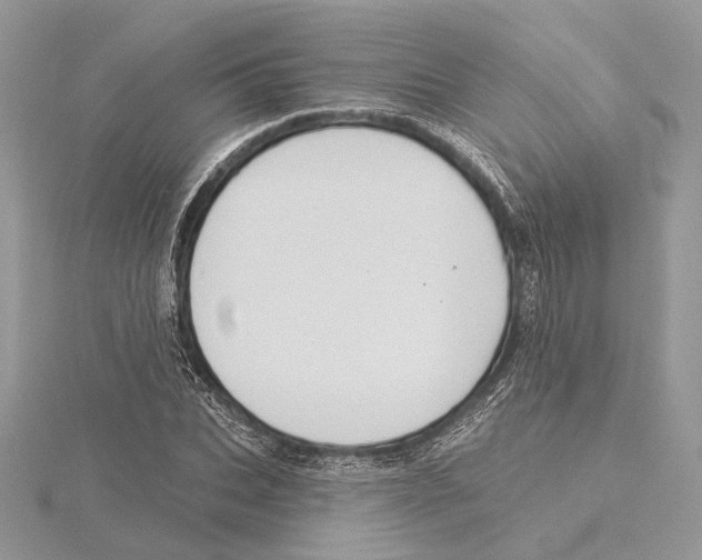 X0000115550927200912041029