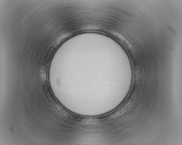 X0000115550929200912041029