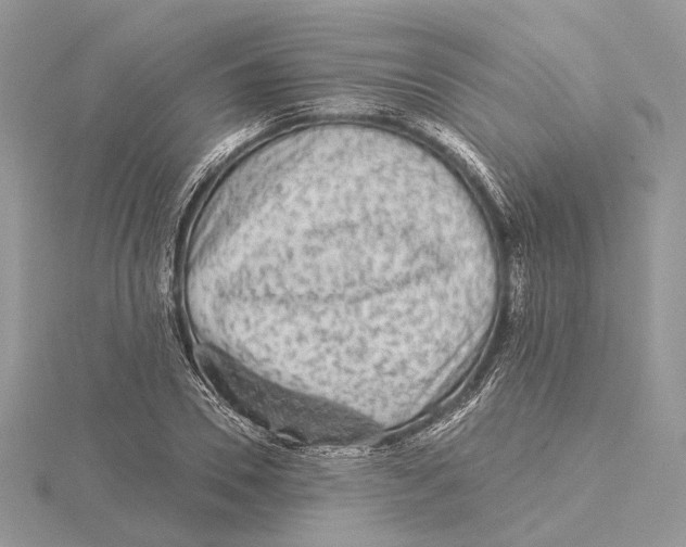 X0000115550930200912041029