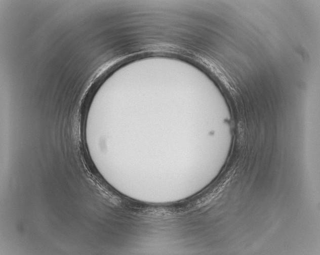 X0000115550931200912041029