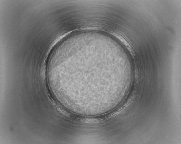 X0000115550933200912041029