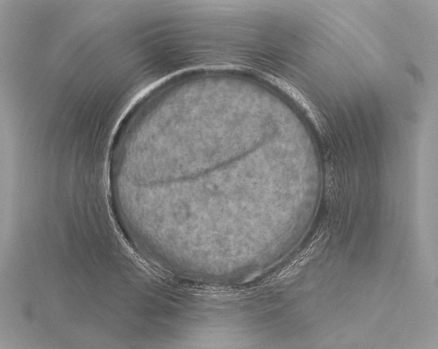 X0000115550935200912041029