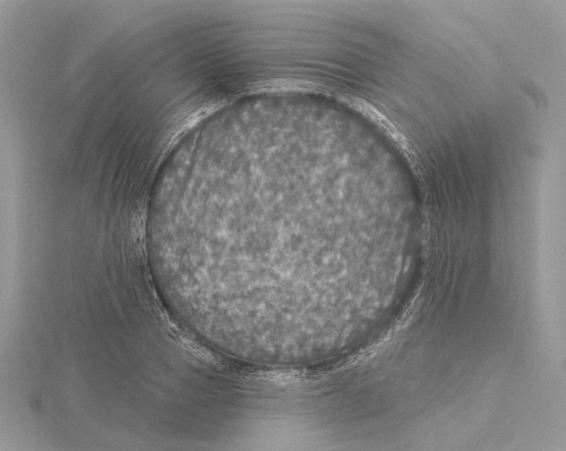 X0000115550937200912041029