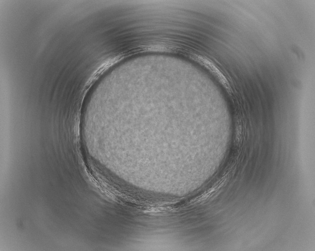 X0000115550938200912041029