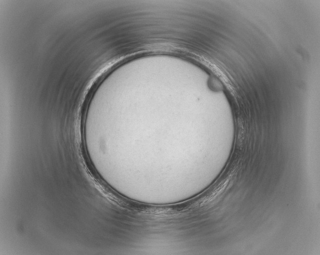 X0000115550939200912041029