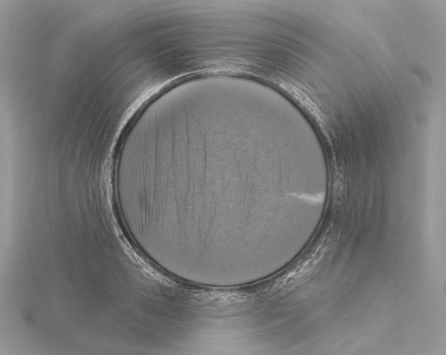 X0000115550941200912041029