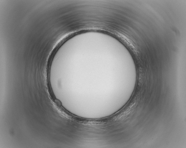 X0000115550942200912041029