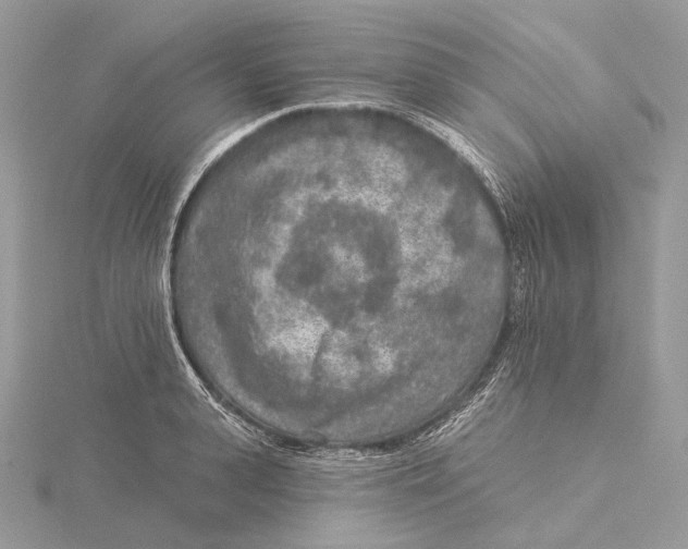 X0000115550943200912041029