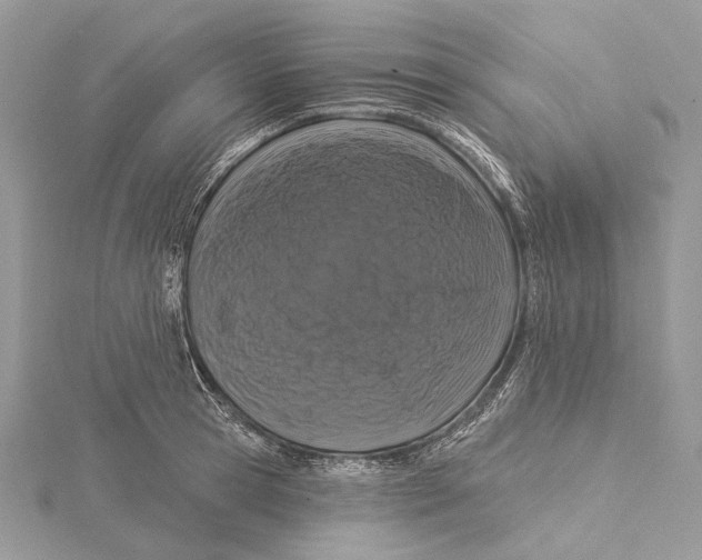 X0000115550945200912041029