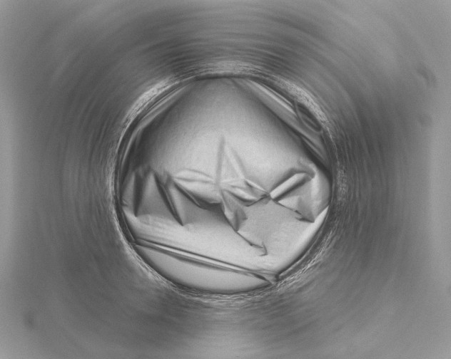 X0000115550946200912041029