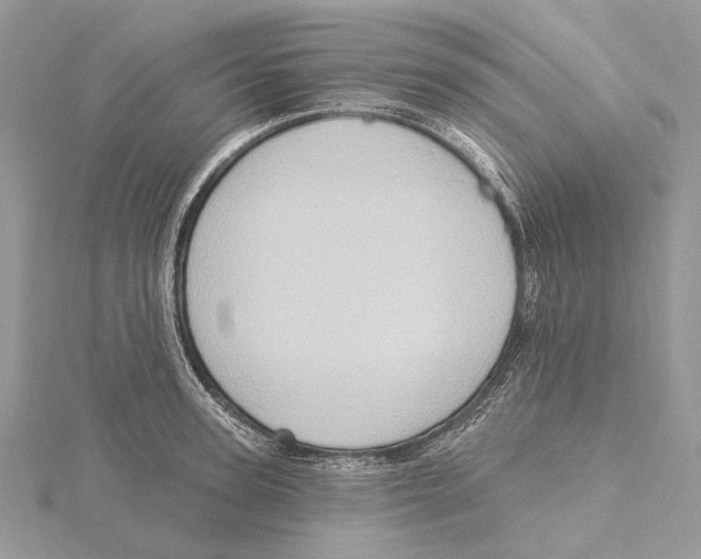 X0000115550947200912041029