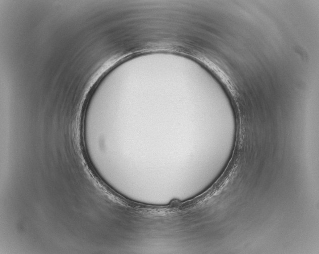 X0000115550949200912041029