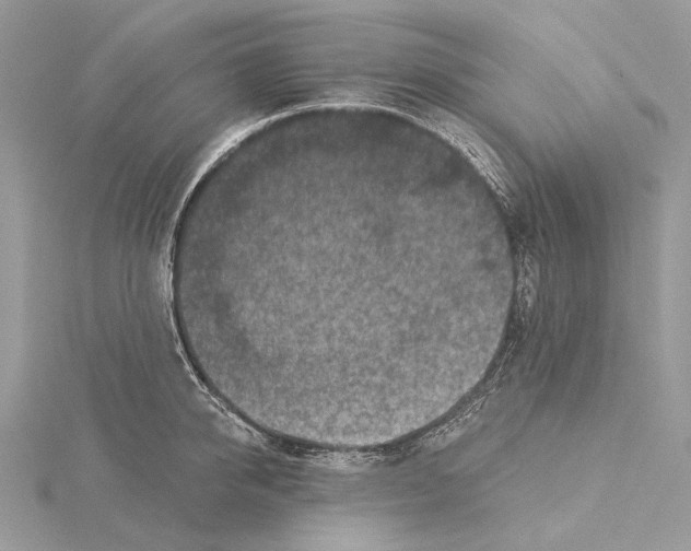 X0000115550950200912041029