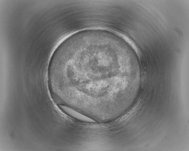 X0000115550951200912041029