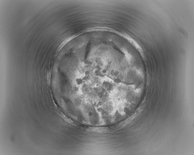 X0000115550953200912041029