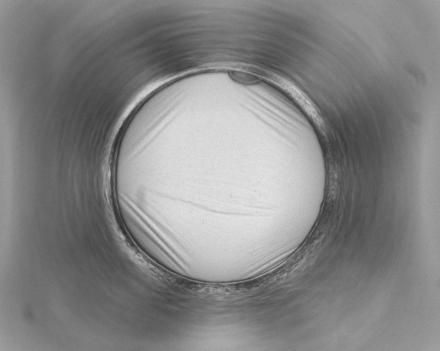 X0000115550955200912041029