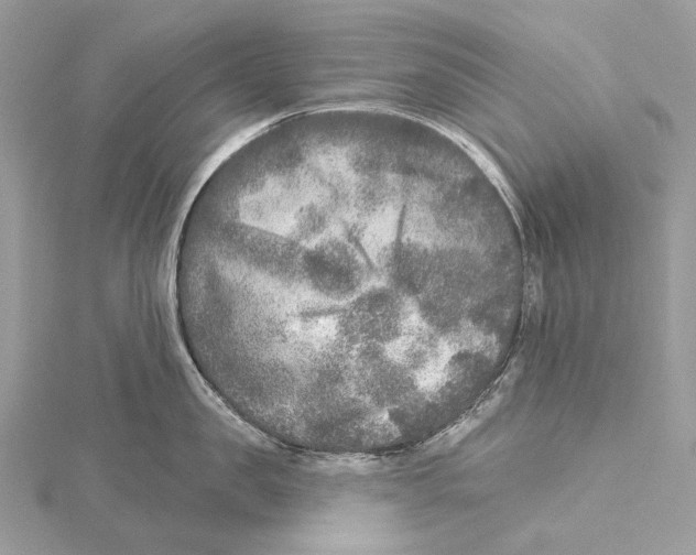 X0000115550957200912041029