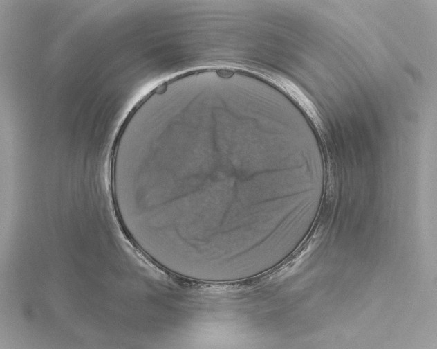 X0000115550958200912041029