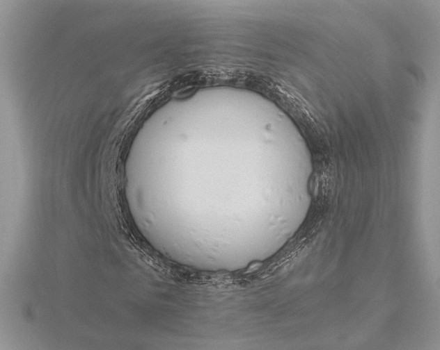 X0000115550961200912041029