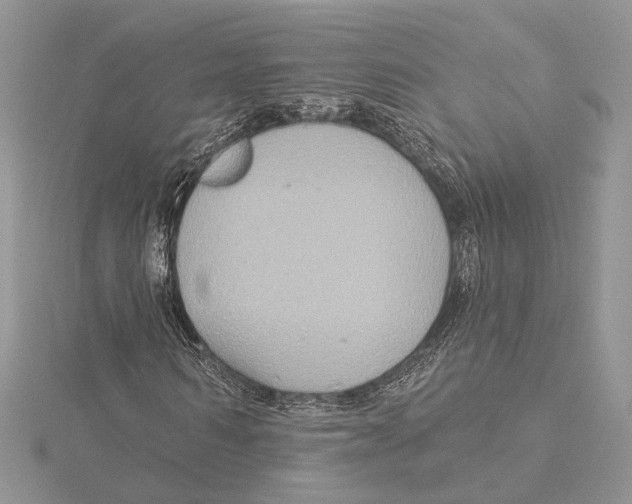 X0000115550962200912041029