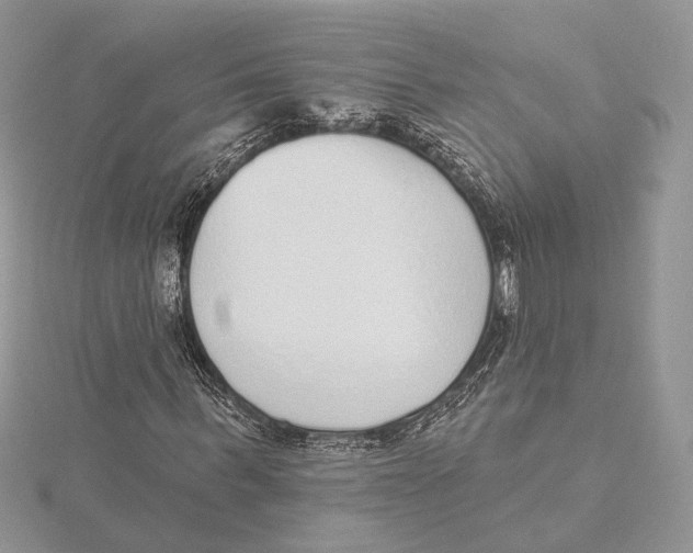 X0000115550963200912041029