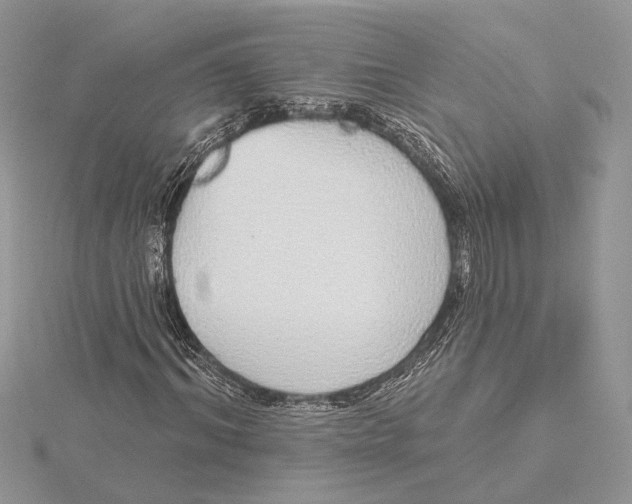 X0000115550964200912041029