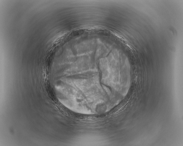 X0000115550966200912041029