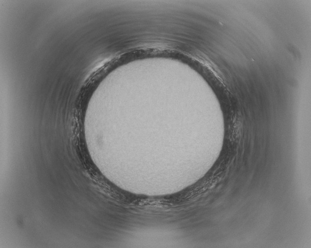 X0000115550967200912041029