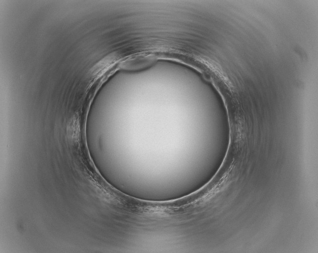 X0000115550969200912041029