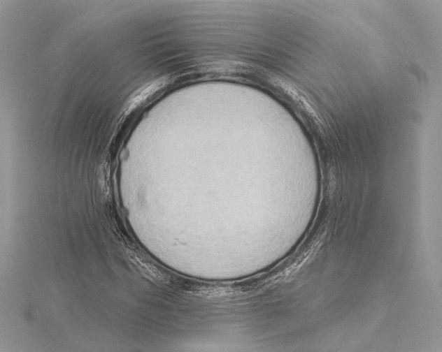 X0000115550970200912041029