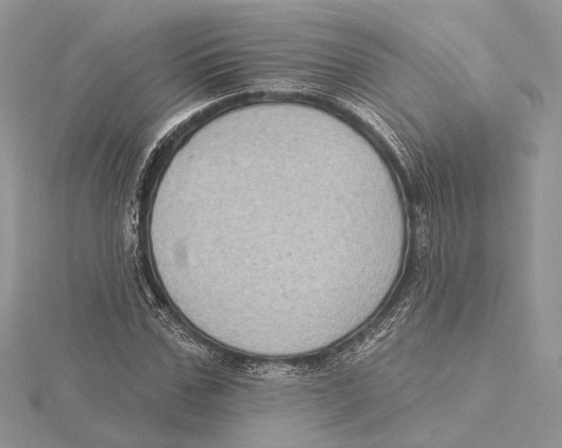 X0000115550971200912041029