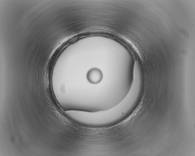 X0000115550973200912041029