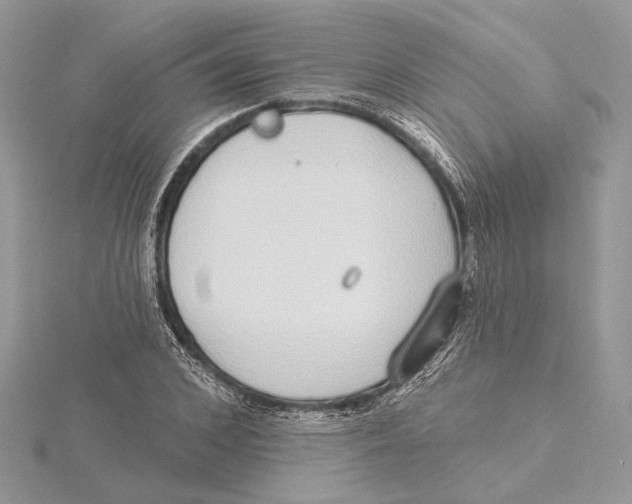 X0000115550976200912041029