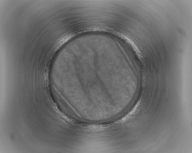 X0000115550977200912041029