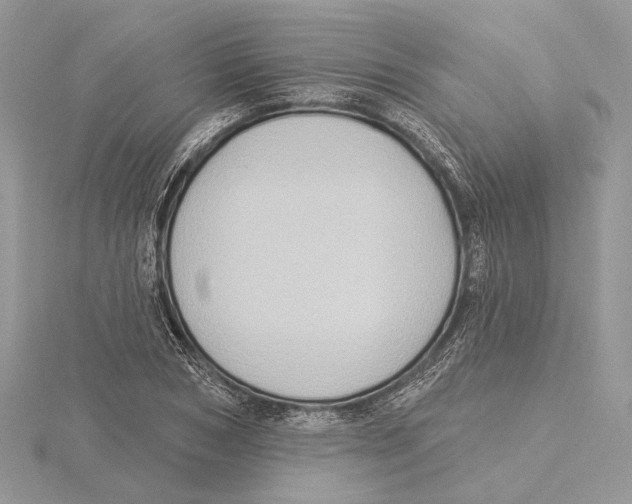 X0000115550978200912041028