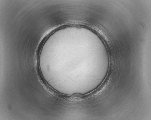 X0000115550981200912041028