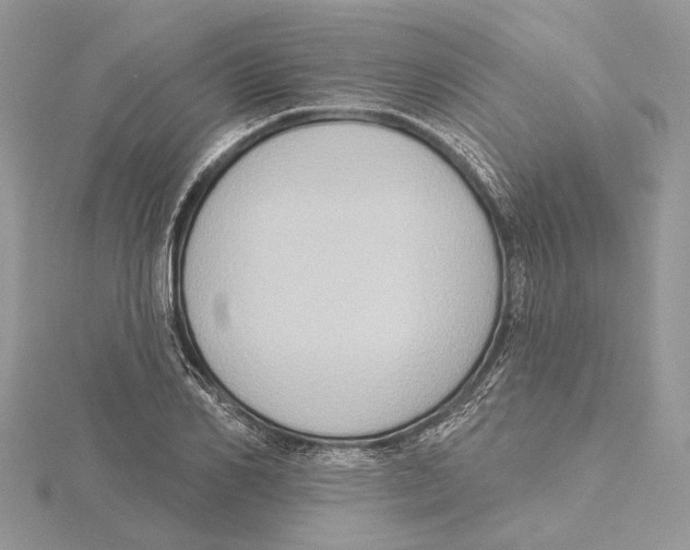 X0000115550982200912041028