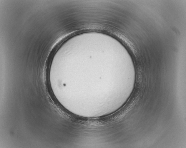 X0000115550983200912041028