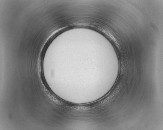 X0000115550984200912041028