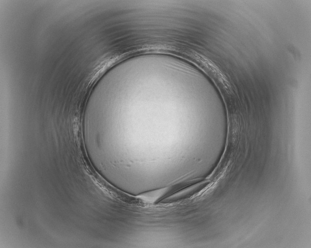 X0000115550985200912041028