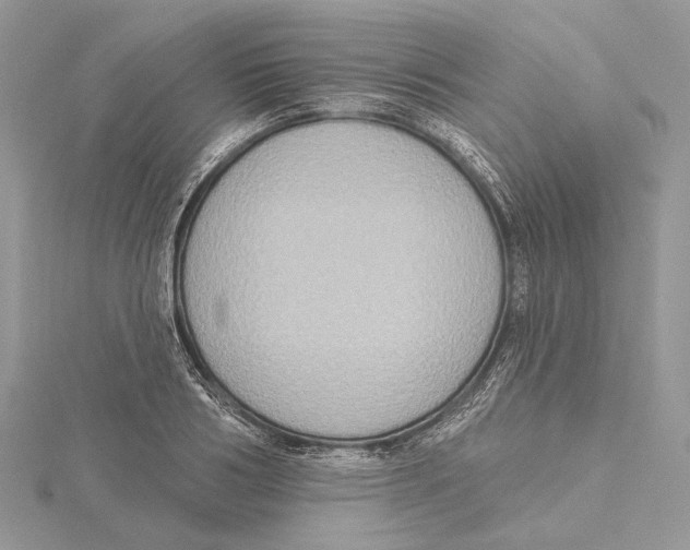 X0000115550986200912041028