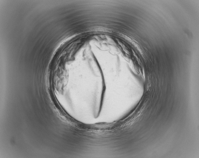 X0000115550987200912041028