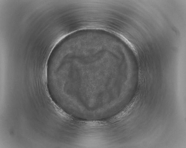 X0000115550988200912041028