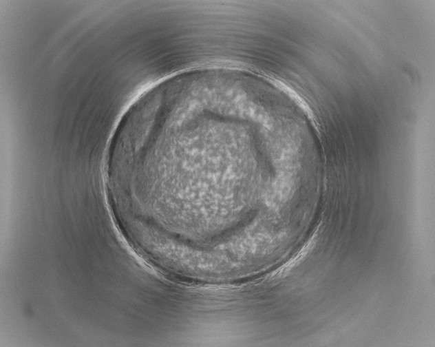 X0000115550989200912041028