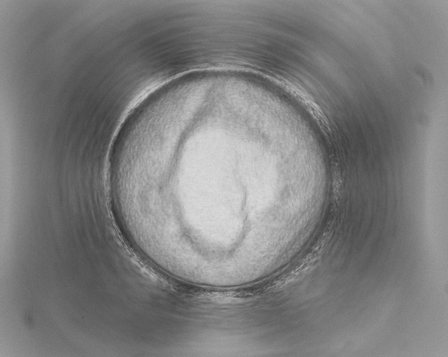 X0000115550990200912041028