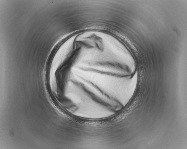 X0000115550991200912041028