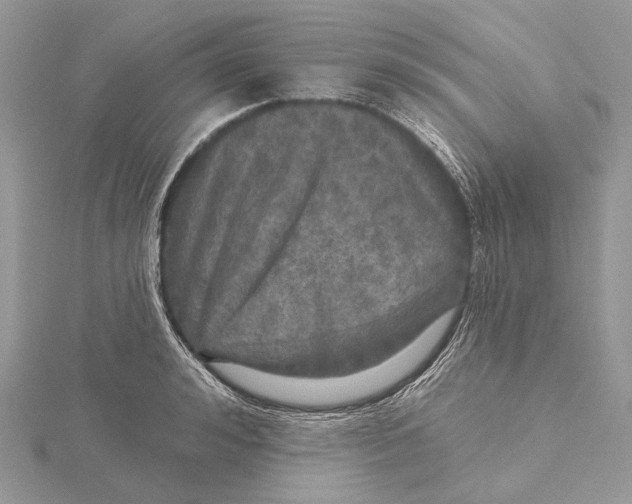 X0000115550992200912041028