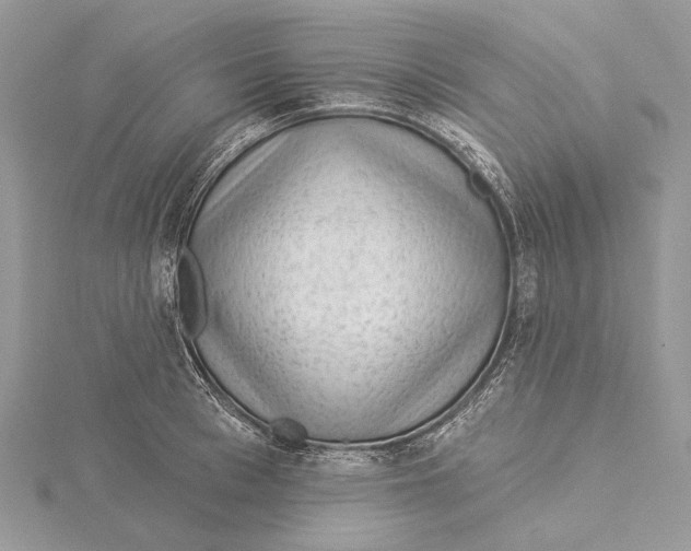 X0000115550993200912041028