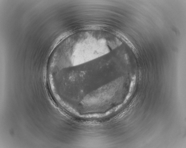 X0000115550994200912041028